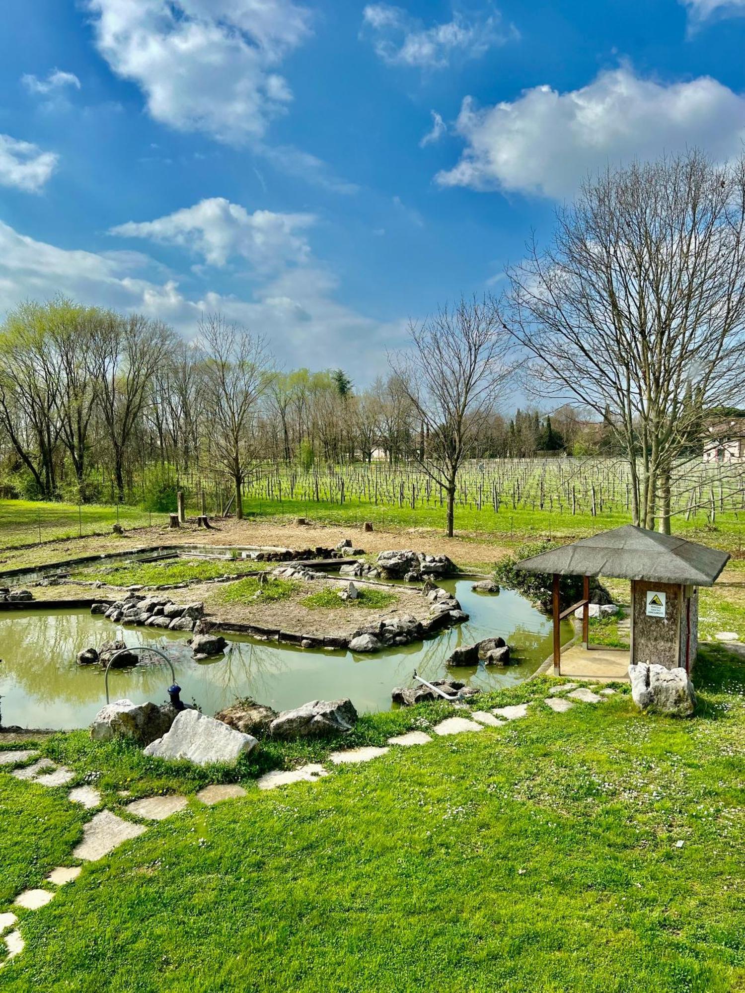Villa Saten Pavia di Udine Ngoại thất bức ảnh